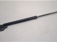 5344075010 Амортизатор капота Lexus HS 2009-2018 20636412 #2