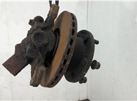 Ступица (кулак, цапфа) DAF LF 2013-2021 20636437 #1