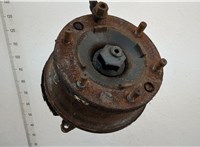 7189272 Ступица (кулак, цапфа) Iveco EuroCargo 3 2015-2025 20636443 #1