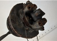 7189272 Ступица (кулак, цапфа) Iveco EuroCargo 3 2015-2025 20636443 #3