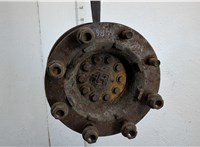 1887160 Ступица (кулак, цапфа) DAF XF 105 2006-2013 20636635 #1