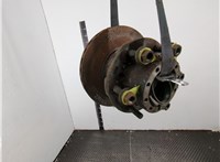 Ступица (кулак, цапфа) DAF LF 2013-2021 20636697 #1