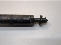 0445110258 Форсунка топливная KIA Sportage 2004-2010 20636727 #2