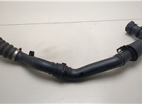  Патрубок интеркулера Renault Clio 2009-2012 20636829 #1