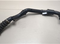  Патрубок интеркулера Renault Clio 2009-2012 20636829 #2