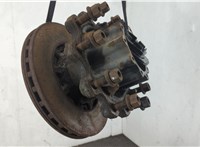 1812161 Ступица (кулак, цапфа) DAF XF 105 2006-2013 20637370 #1