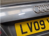  Подсветка номера Audi A6 (C6) 2004-2011 11520729 #7