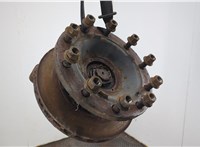 1818004 Ступица (кулак, цапфа) DAF XF 105 2006-2013 20637740 #1