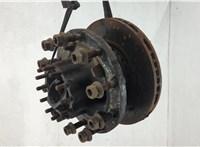 7420819853 Ступица (кулак, цапфа) Renault D 2013- 20637773 #1