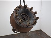 1818004 Ступица (кулак, цапфа) DAF XF 105 2006-2013 20637779 #1