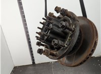 7420819853 Ступица (кулак, цапфа) Renault D 2013- 20637805 #1