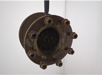 1887160 Ступица (кулак, цапфа) DAF XF 105 2006-2013 20637973 #1