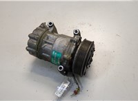  Компрессор кондиционера Peugeot 206 1998-2012 20638157 #1