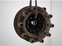 7422106238 Ступица (кулак, цапфа) Renault D 2013- 20638219 #1