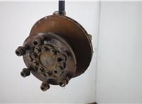 Ступица (кулак, цапфа) DAF LF 2013-2021 20638250 #1