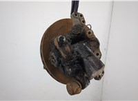 Ступица (кулак, цапфа) DAF LF 2013-2021 20638250 #2