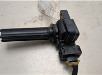  Катушка зажигания Opel Signum 20638298 #1