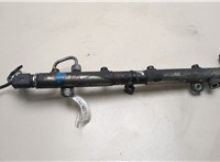  Рампа (рейка) топливная Mercedes Vito W639 2003-2014 20638362 #1