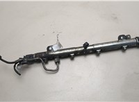 Рампа (рейка) топливная Mercedes Vito W639 2003-2014 20638362 #2