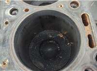  Блок цилиндров (Шорт блок) Mercedes Vito W639 2003-2014 20638371 #10