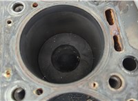  Блок цилиндров (Шорт блок) Mercedes Vito W639 2003-2014 20638371 #11