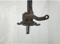 7182183 Кулак поворотный Iveco EuroCargo 2 2002-2015 20637594 #1