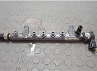 03L130089A Рампа (рейка) топливная Audi A6 (C6) 2004-2011 20638746 #1