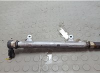03L130089A Рампа (рейка) топливная Audi A6 (C6) 2004-2011 20638746 #4