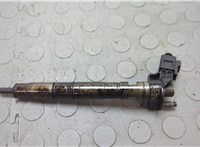  Форсунка топливная Audi A6 (C6) 2004-2011 20638748 #1