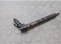  Форсунка топливная Audi A6 (C6) 2004-2011 20638750 #1