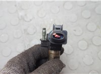  Форсунка топливная Audi A6 (C6) 2004-2011 20638752 #2