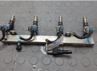 55559377, 96475742 Форсунка топливная Chevrolet Aveo (T250 / 255) 2006-2012 20638932 #1