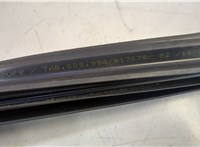  Уплотнитель Volkswagen Passat CC 2012-2017 20639316 #4