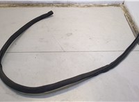  Уплотнитель Volkswagen Passat CC 2012-2017 20639324 #1