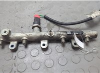 157095 Рампа (рейка) топливная Citroen C5 2001-2004 20639965 #1