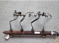  Рампа (рейка) топливная Land Rover Range Rover 3 (LM) 2002-2012 20641127 #1