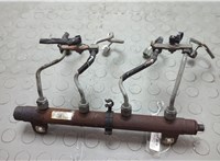  Рампа (рейка) топливная Land Rover Range Rover 3 (LM) 2002-2012 20641128 #1