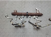  Рампа (рейка) топливная Land Rover Range Rover 3 (LM) 2002-2012 20641128 #3