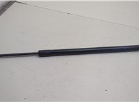 M1PBS406A10AG Амортизатор крышки багажника Ford Bronco Sport 2020-2024 20641672 #1