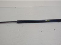 M1PBS406A11AG Амортизатор крышки багажника Ford Bronco Sport 2020-2024 20641673 #1