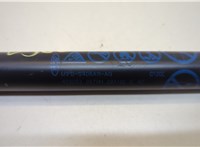 M1PBS406A11AG Амортизатор крышки багажника Ford Bronco Sport 2020-2024 20641673 #2