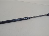  Амортизатор крышки багажника Hyundai Equus 2009-2016 20641698 #1