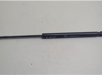  Амортизатор крышки багажника Hyundai Equus 2009-2016 20641701 #1