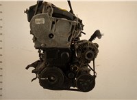  Двигатель (ДВС) Renault Megane 2 2002-2009 20641795 #1