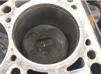  Блок цилиндров (Шорт блок) Volkswagen Touran 2003-2006 20641903 #9