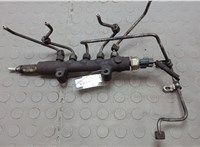  Рампа (рейка) топливная Ford Transit 2006-2014 20642091 #1