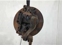 7421116593 Ступица (кулак, цапфа) Renault T 2013-2022 20642142 #2