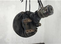 Ступица (кулак, цапфа) Man TGX 2012-2021 20642224 #4