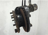 Ступица (кулак, цапфа) Man TGX 2012-2021 20642224 #5