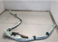  Подушка безопасности боковая (шторка) Volkswagen Passat 6 2005-2010 20642432 #1